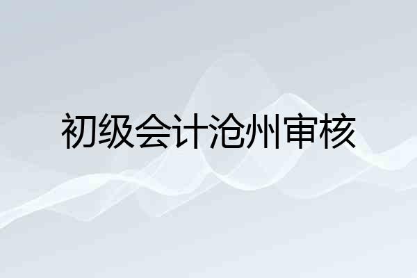初级会计沧州审核