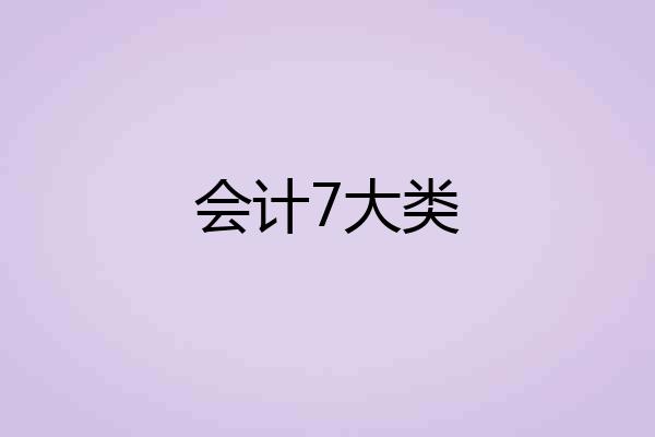 会计7大类