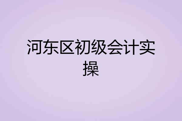 河东区初级会计实操