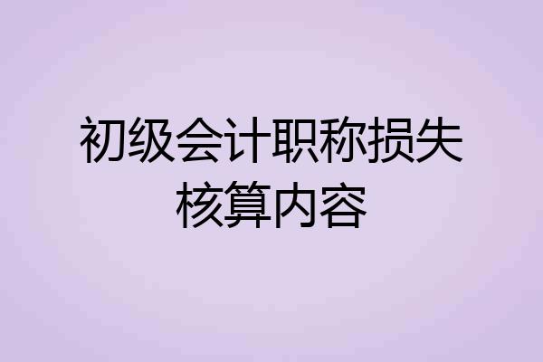 初级会计职称损失核算内容