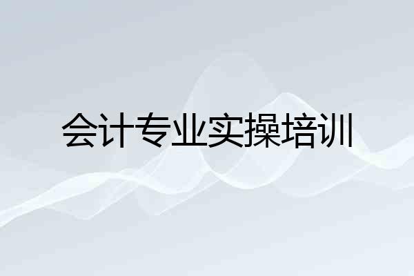 会计专业实操培训