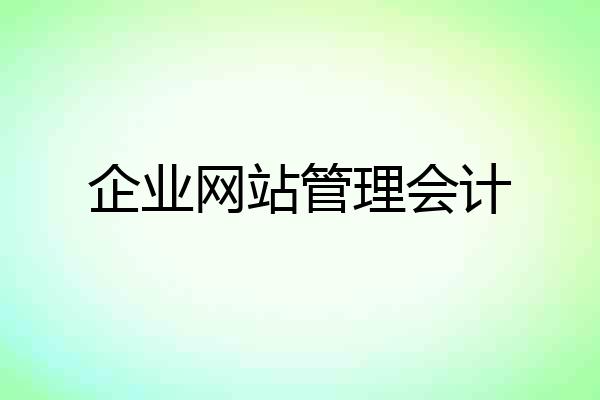 企业网站管理会计