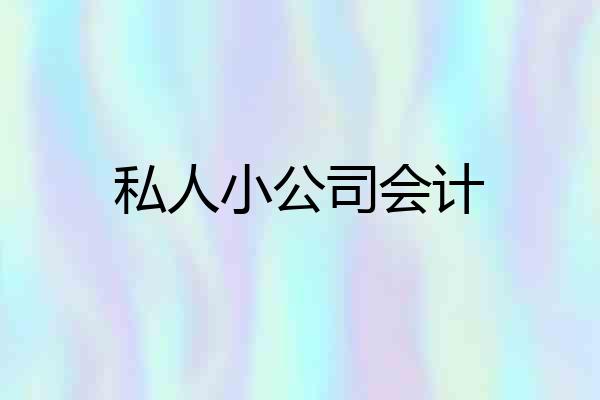 私人小公司会计