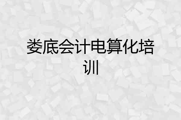 娄底会计电算化培训