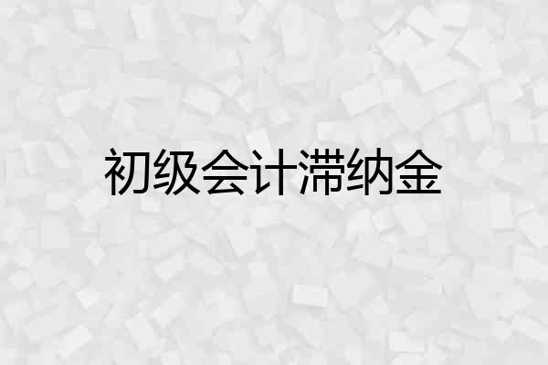 初级会计滞纳金