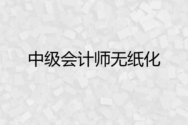 中级会计师无纸化