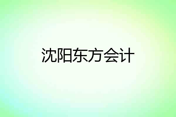 沈阳东方会计