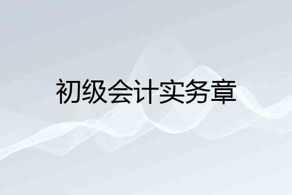 初级会计实务章