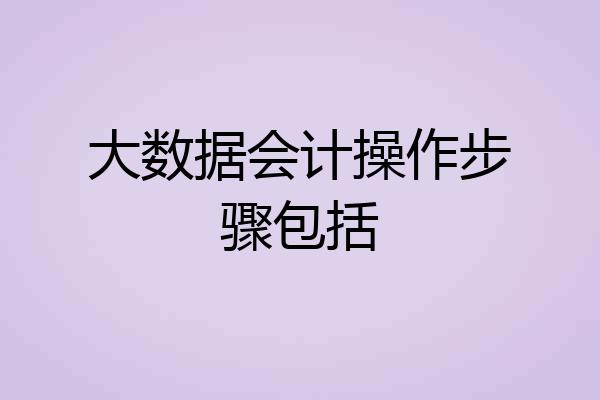 大数据会计操作步骤包括