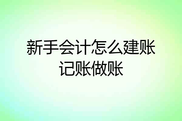 新手会计怎么建账记账做账