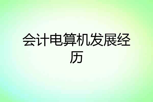 会计电算机发展经历