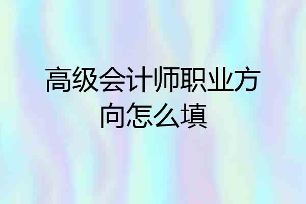 高级会计师职业方向怎么填