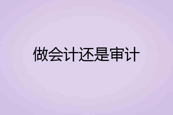 做会计还是审计