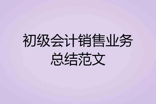 初级会计销售业务总结范文