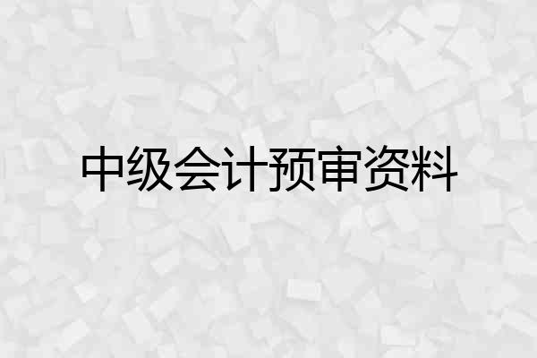 中级会计预审资料