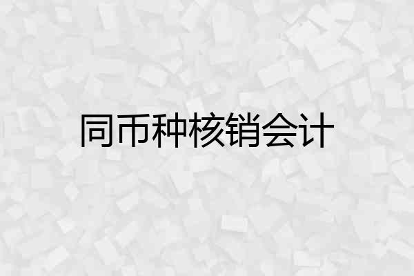 同币种核销会计