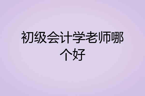 初级会计学老师哪个好