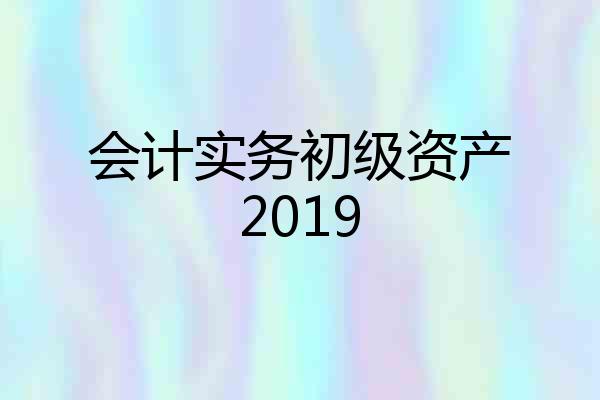 会计实务初级资产2019