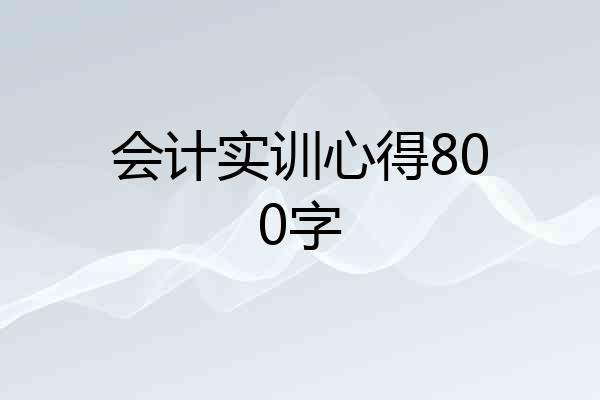 会计实训心得800字