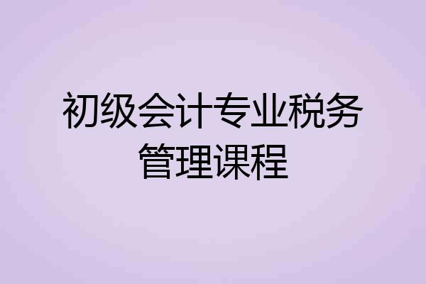 初级会计专业税务管理课程