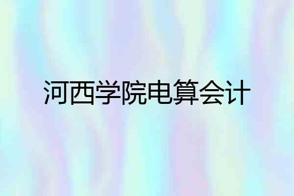 河西学院电算会计
