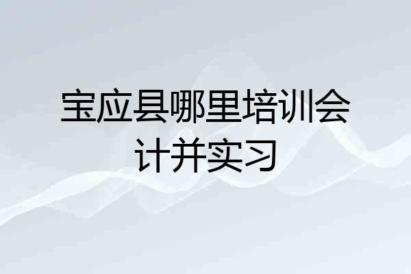 宝应县哪里培训会计并实习