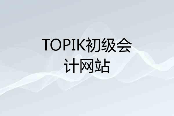 TOPIK初级会计网站