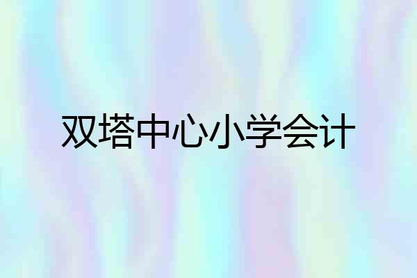 双塔中心小学会计