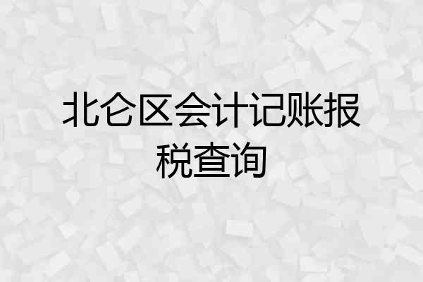 北仑区会计记账报税查询