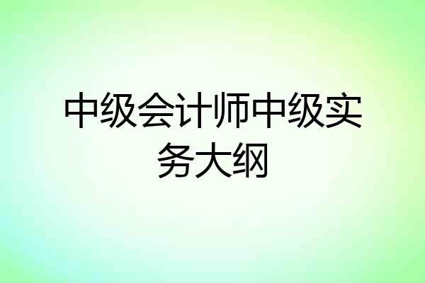 中级会计师中级实务大纲