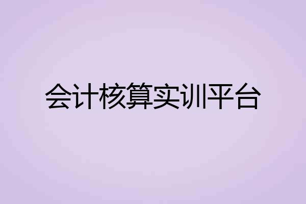 会计核算实训平台