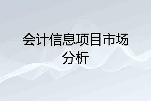 会计信息项目市场分析