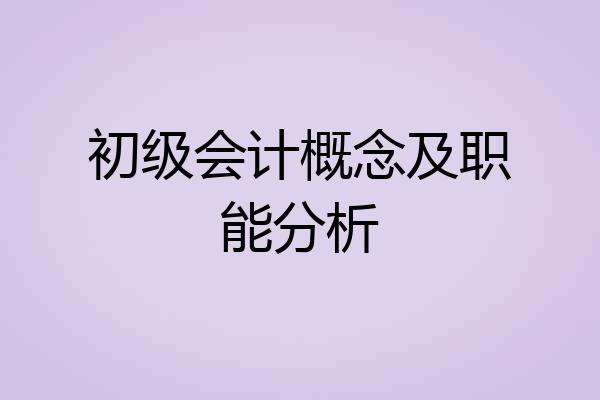 初级会计概念及职能分析