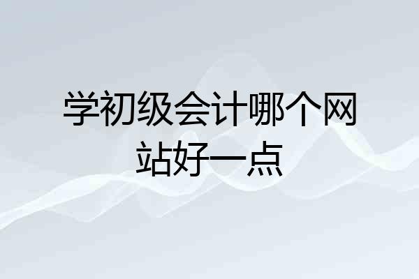 学初级会计哪个网站好一点