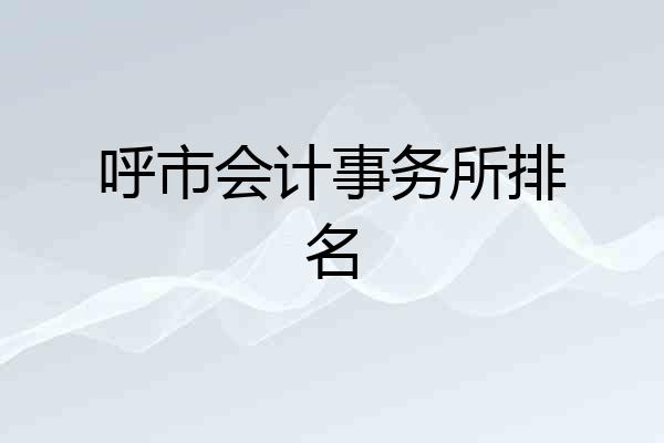 呼市会计事务所排名