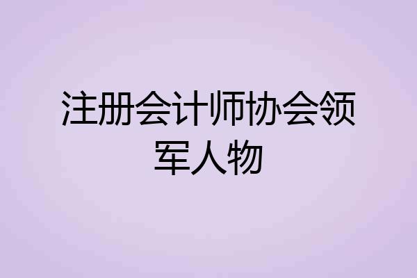 注册会计师协会领军人物