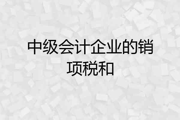 中级会计企业的销项税和