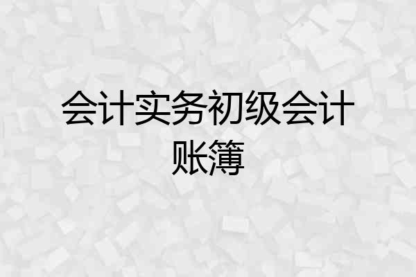 会计实务初级会计账簿