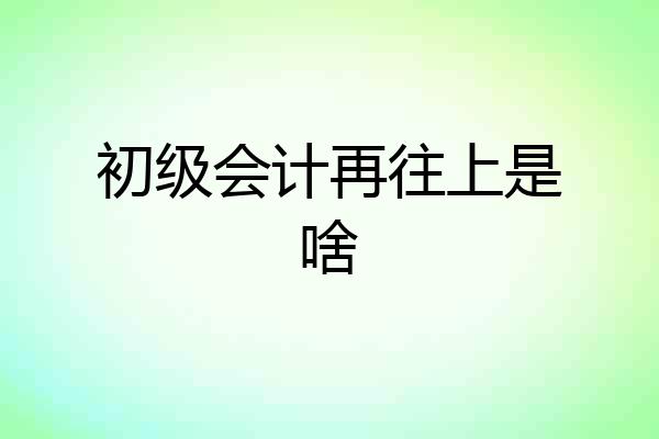 初级会计再往上是啥
