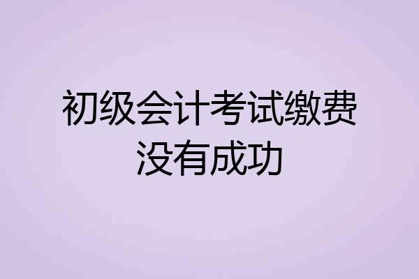 初级会计考试缴费没有成功