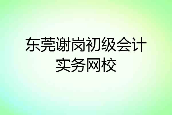 东莞谢岗初级会计实务网校