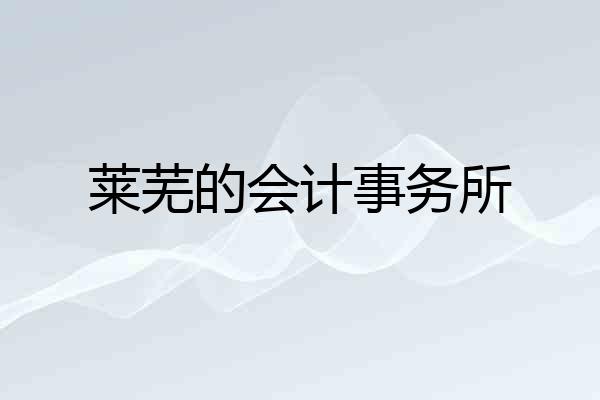 莱芜的会计事务所