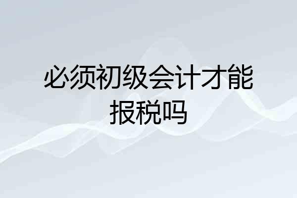 必须初级会计才能报税吗