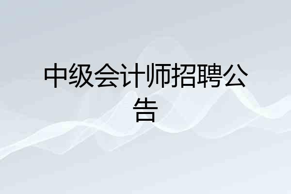 中级会计师招聘公告