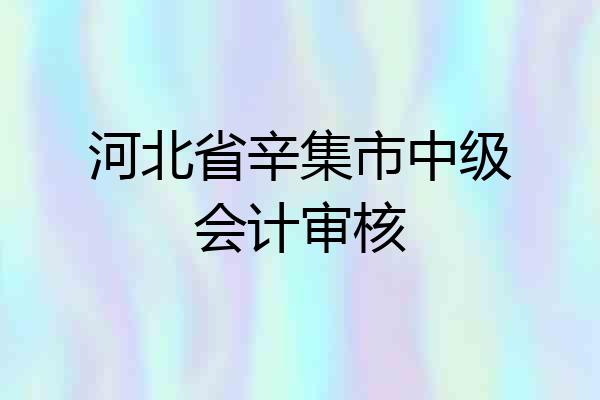 河北省辛集市中级会计审核