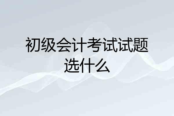 初级会计考试试题选什么