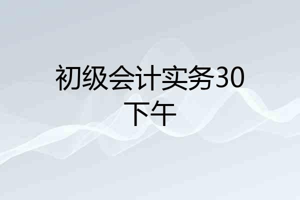 初级会计实务30下午