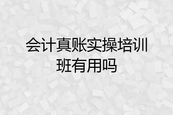 会计真账实操培训班有用吗