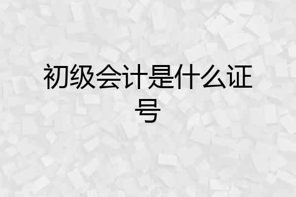 初级会计是什么证号