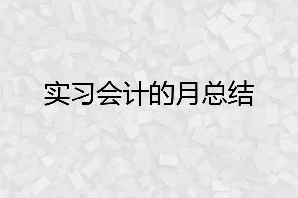 实习会计的月总结